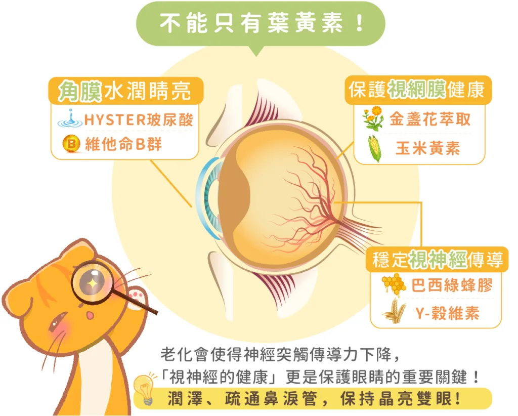 寵物保健食品推薦：歸毛家族。圖片來源：歸毛家族 官方網站。