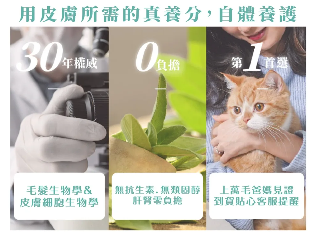 狗狗皮膚黴菌的剋星：寵物護膚第一領導品牌「歸毛家族」。圖片來源：歸毛家族 官網。