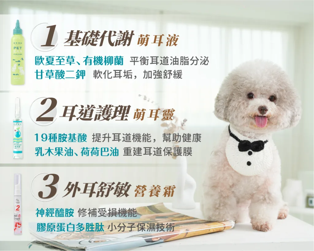 預防貓耳疥蟲產品:歸毛家族-萌耳保衛組。圖片來源:歸毛家族 官網。
